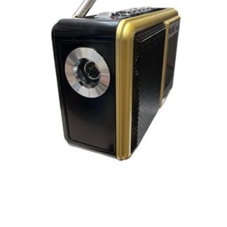 Radio ceas, lanterna , stic, card